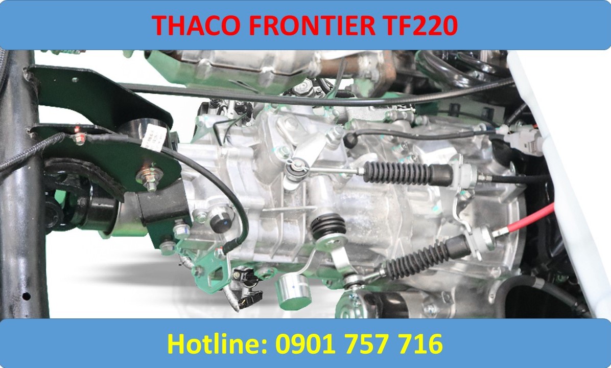 tf220-thung-lung-gia